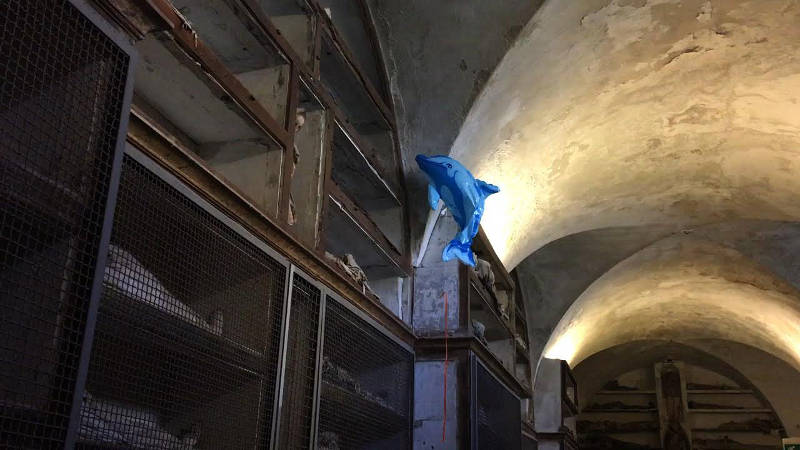 DOUGLAS GORDON GENTE DI PALERMO videoinstallazione Prigioni Palazzo Duclale