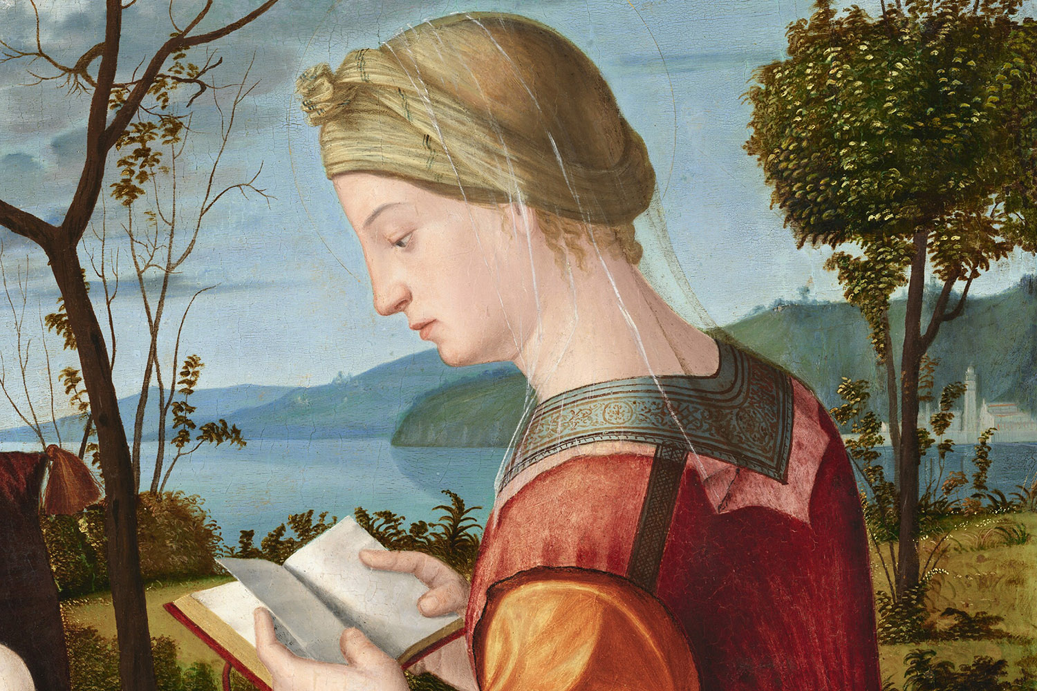 immagine Mostra Carpaccio