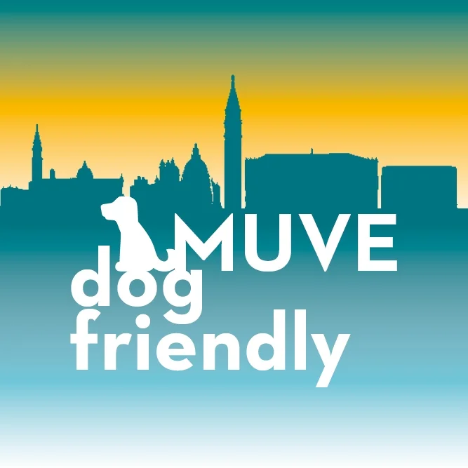 grafica muve dog friendly